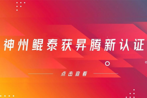 智能算力再添新力，PT电子 - 官方网站获得昇腾新认证