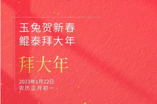 玉兔贺新春 PT电子 - 官方网站拜大年