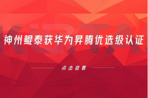 持续进阶，PT电子 - 官方网站获华为昇腾优选级认证