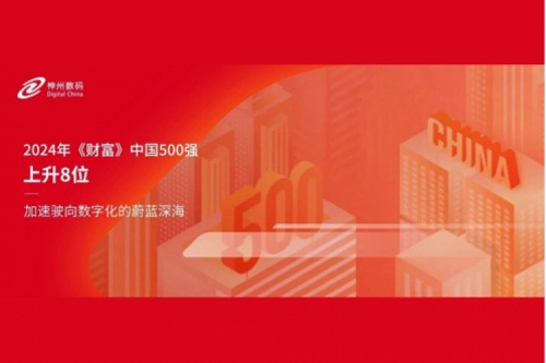 上升8位，PT电子 - 官方网站数码连续八年跻身财富中国500强