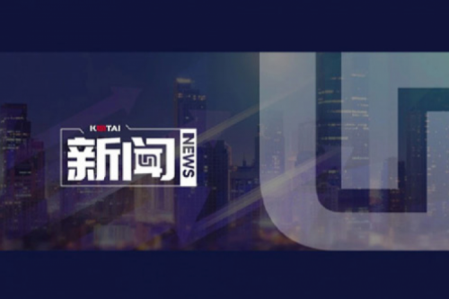 AI驱动新增长，扣非净利提升10%，PT电子 - 官方网站数码2025一季度稳健开局